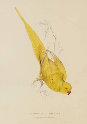 Lot 889 - After Edward Lear (British...