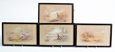 Lot 954 - James Stinton/Four Studies of game...