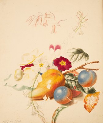 Lot 240 - Juliana Sabina Strickland/Flowers and...