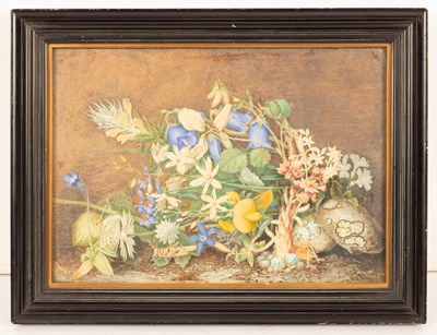 Lot 246 - Frances Strickland (1803-1888)/Flowers and...