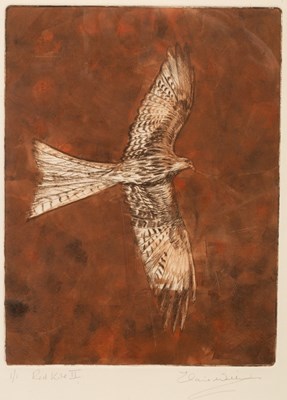 Lot 275 - Elaine Williams/Red Kite II/signed and...