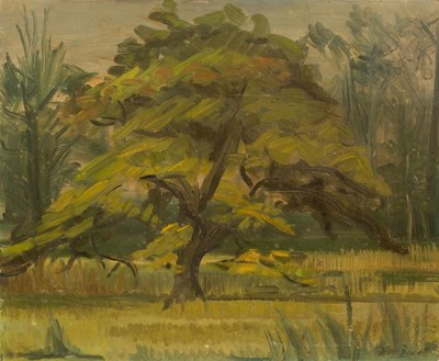 Lot 404 - Druie Bowett (1924-1998)/Tree in a...