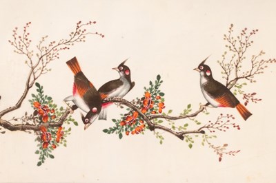 Lot 526 - Chinese School, 19th Century/Ornithological...