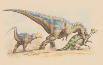 Lot 261 - John Sibbick (19th/20th Century)/Four Studies...