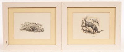 Lot 263 - John Sibbick (20th/21st Century)/Two Dinosaur...