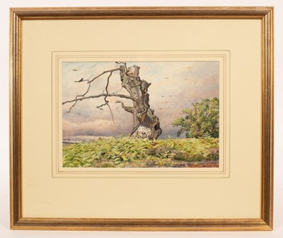 Lot 311 - Walter Fryer Stocks (1842-1915)/The Robin Hood...
