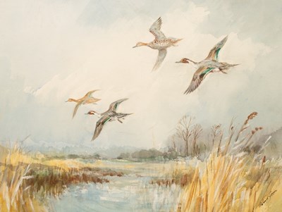 Lot 865 - Roland Green (1890-1972)/Pintails in...