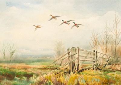 Lot 866 - Roland Green (1890-1972)/Mallard over a...