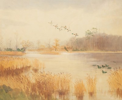 Lot 867 - Roland Green (1890-1972)/Mallard over a...