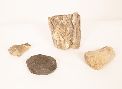 Lot 274 - A petrified wood tree trunk fossil