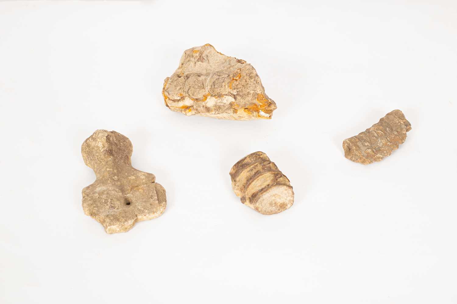 Lot 280 - A fossilized vertebrae in matrix