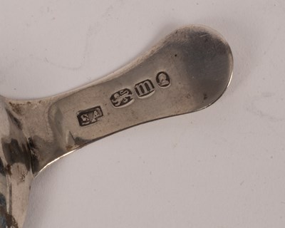 Lot 13 - A George III silver caddy spoon