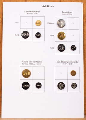 Lot 402 - Irish hunt buttons