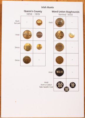 Lot 406 - Irish hunt buttons