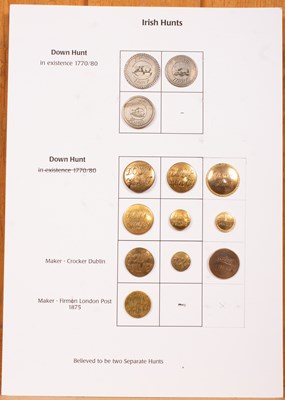 Lot 408 - Irish hunt buttons