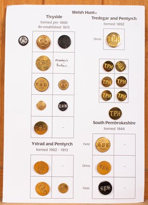 Lot 428 - Welsh hunt buttons