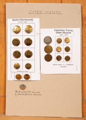 Lot 444 - Otter hunt buttons