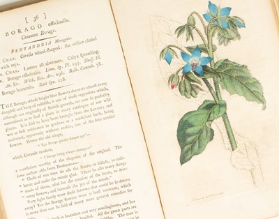 Lot 747 - Sowerby (James) English Botany