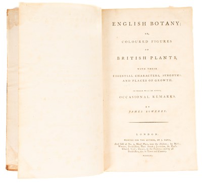 Lot 747 - Sowerby (James) English Botany