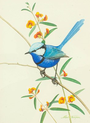 Lot 14 - Martin Thompson (circa 1951)