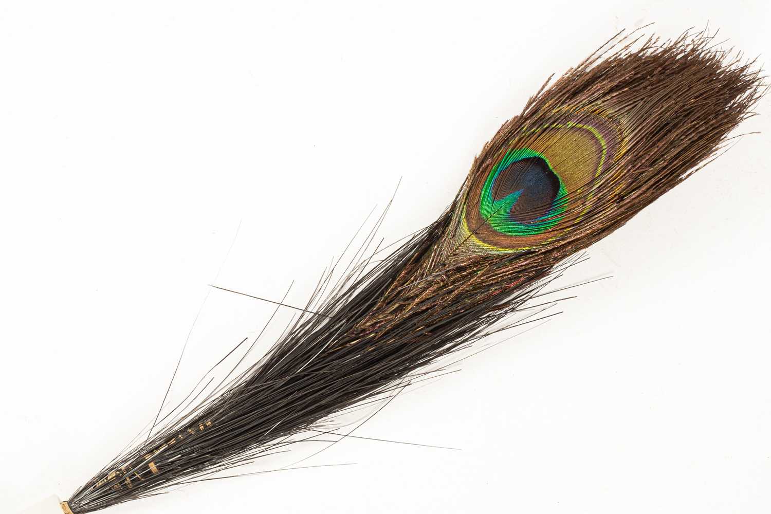 Lot 129 - A Chinese double-eyed peacock feather for Mandarin's winter court hat