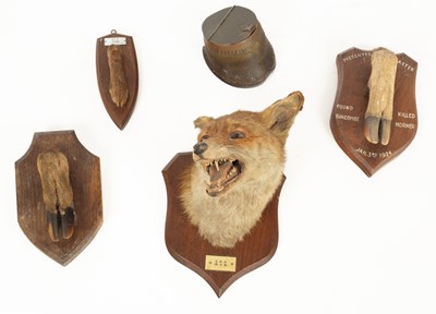 Lot 566 - A small group of taxidermy items