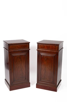 Lot 533 - A pair of 19th Century mahogany plinth cupboards