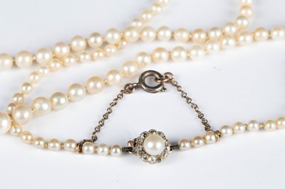 Lot 303 - An early 20th Century single row strand of graduated pearls