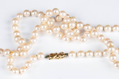 Lot 311 - A single row strand of cultured pearls