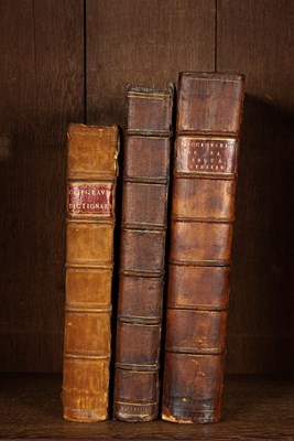 Lot 222 - Language Dictionaries