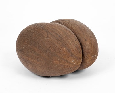 Lot 45 - An unpolished coco de mer
