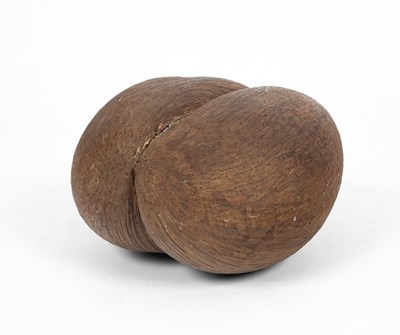 Lot 45 - An unpolished coco de mer