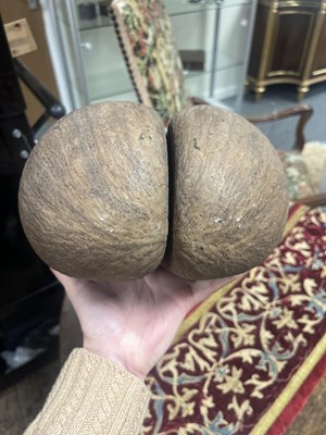 Lot 45 - An unpolished coco de mer