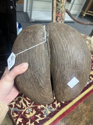 Lot 45 - An unpolished coco de mer
