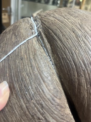 Lot 45 - An unpolished coco de mer