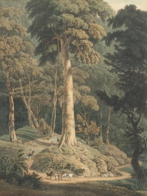 Lot 220 - William Daniell RA (1769-1837)