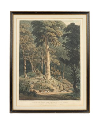 Lot 220 - William Daniell RA (1769-1837)
