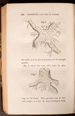 Lot 259 - Miller (Philip) The Gardener's and Botanist's Dictionary