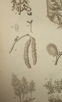 Lot 259 - Miller (Philip) The Gardener's and Botanist's Dictionary