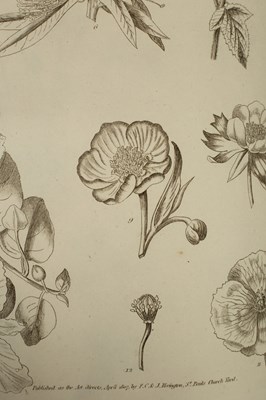 Lot 259 - Miller (Philip) The Gardener's and Botanist's Dictionary