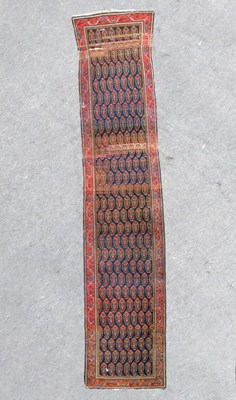 Lot 620 - A Malayir runner