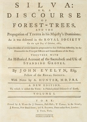 Lot 268 - Evelyn (John) Sylva