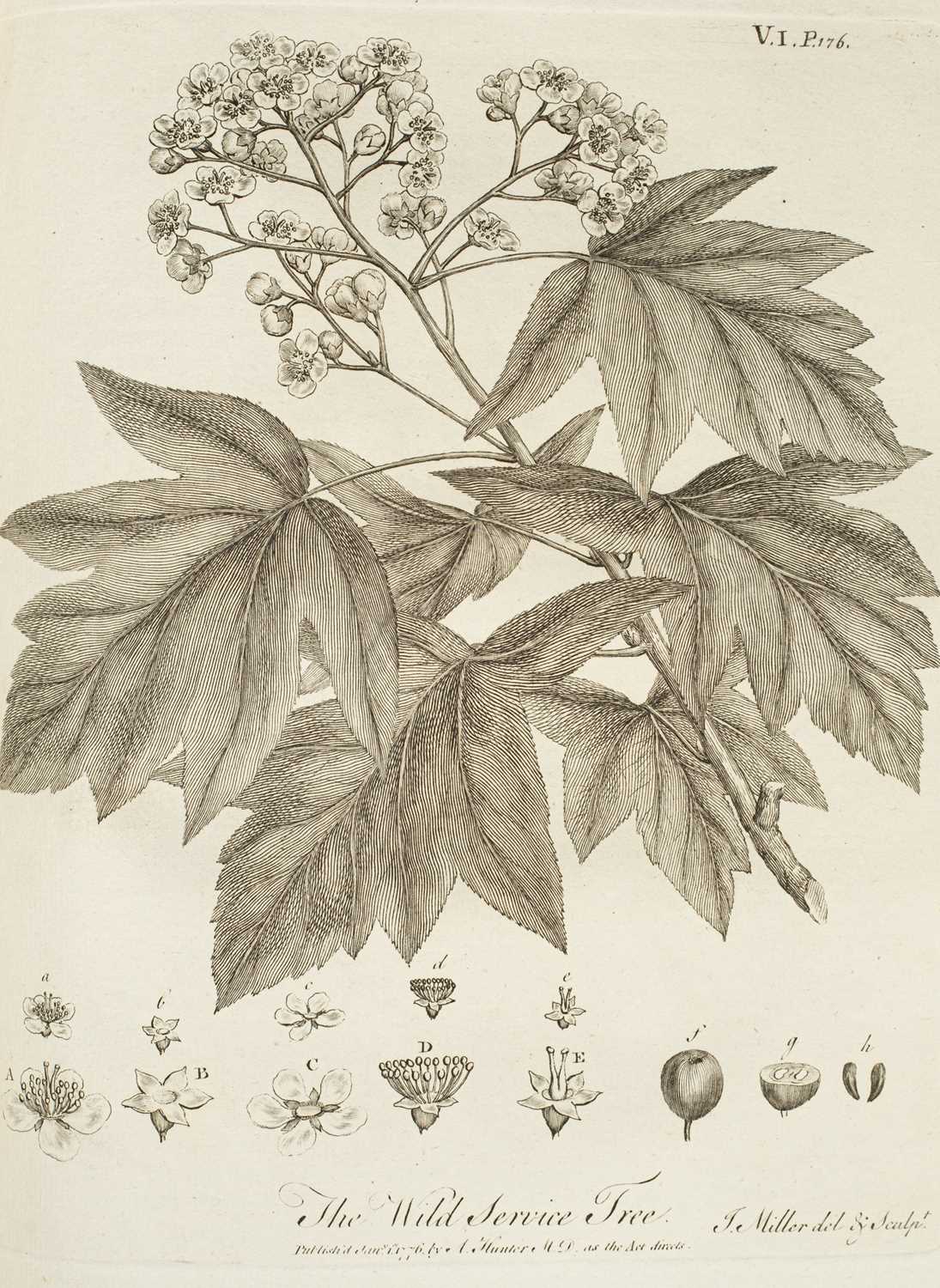 Lot 268 - Evelyn (John) Sylva