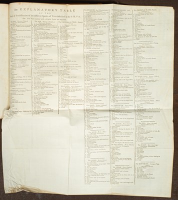 Lot 268 - Evelyn (John) Sylva