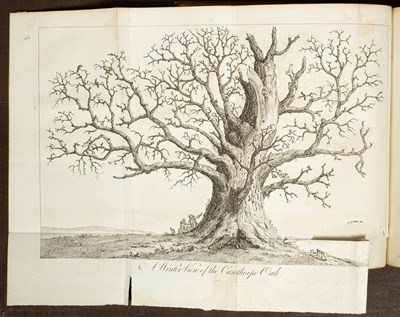 Lot 268 - Evelyn (John) Sylva