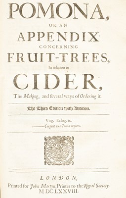 Lot 270 - Evelyn (John) Sylva