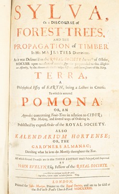 Lot 270 - Evelyn (John) Sylva