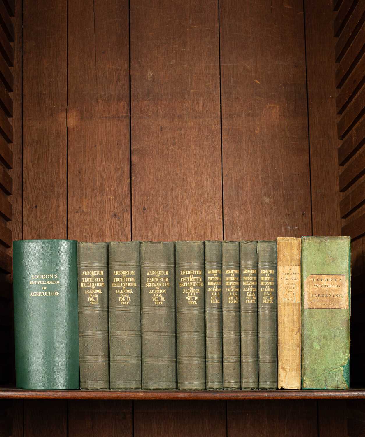 Lot 285 - Loudon (J. C.)