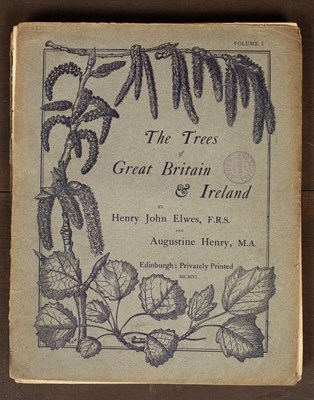 Lot 297 - Elwes (Henry John) The Trees of Great Britain & Ireland