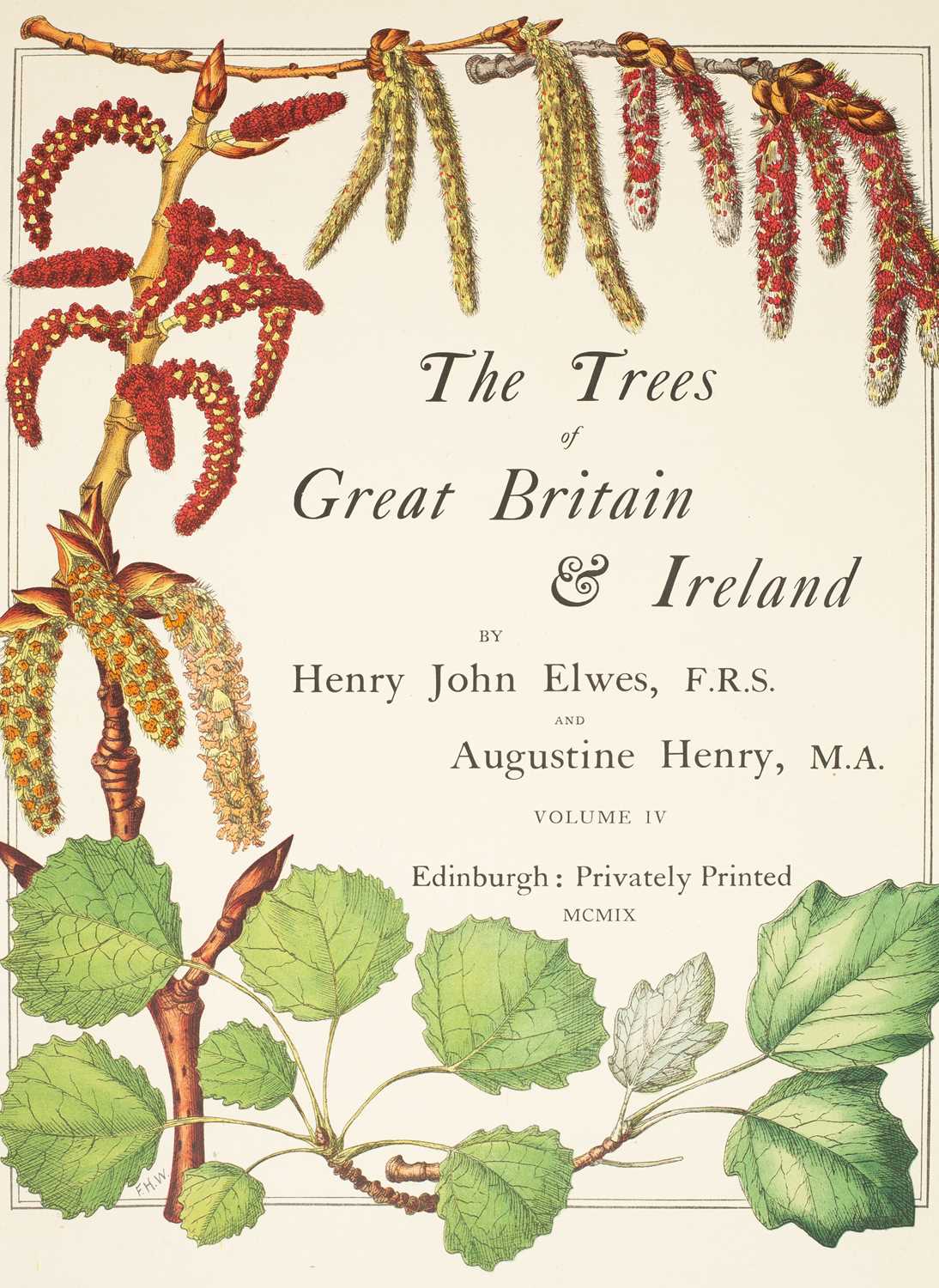 Lot 297 - Elwes (Henry John) The Trees of Great Britain & Ireland